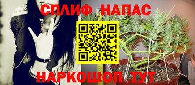 ECSTASY Ирбит