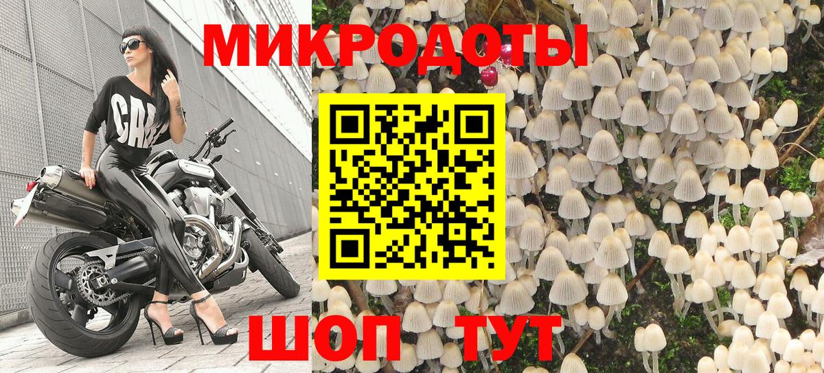 Лабинск  Псилоцибиновые грибы MAGIC MUSHROOMS  Вход с VPN  Псилоцибиновые грибы мицелий 