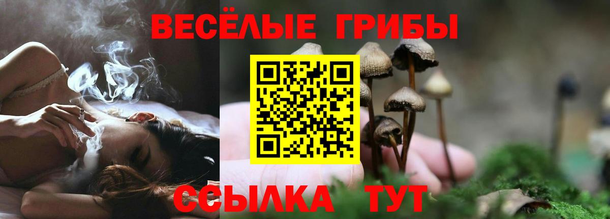Псилоцибиновые грибы мухоморы Лабинск